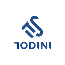 Todini